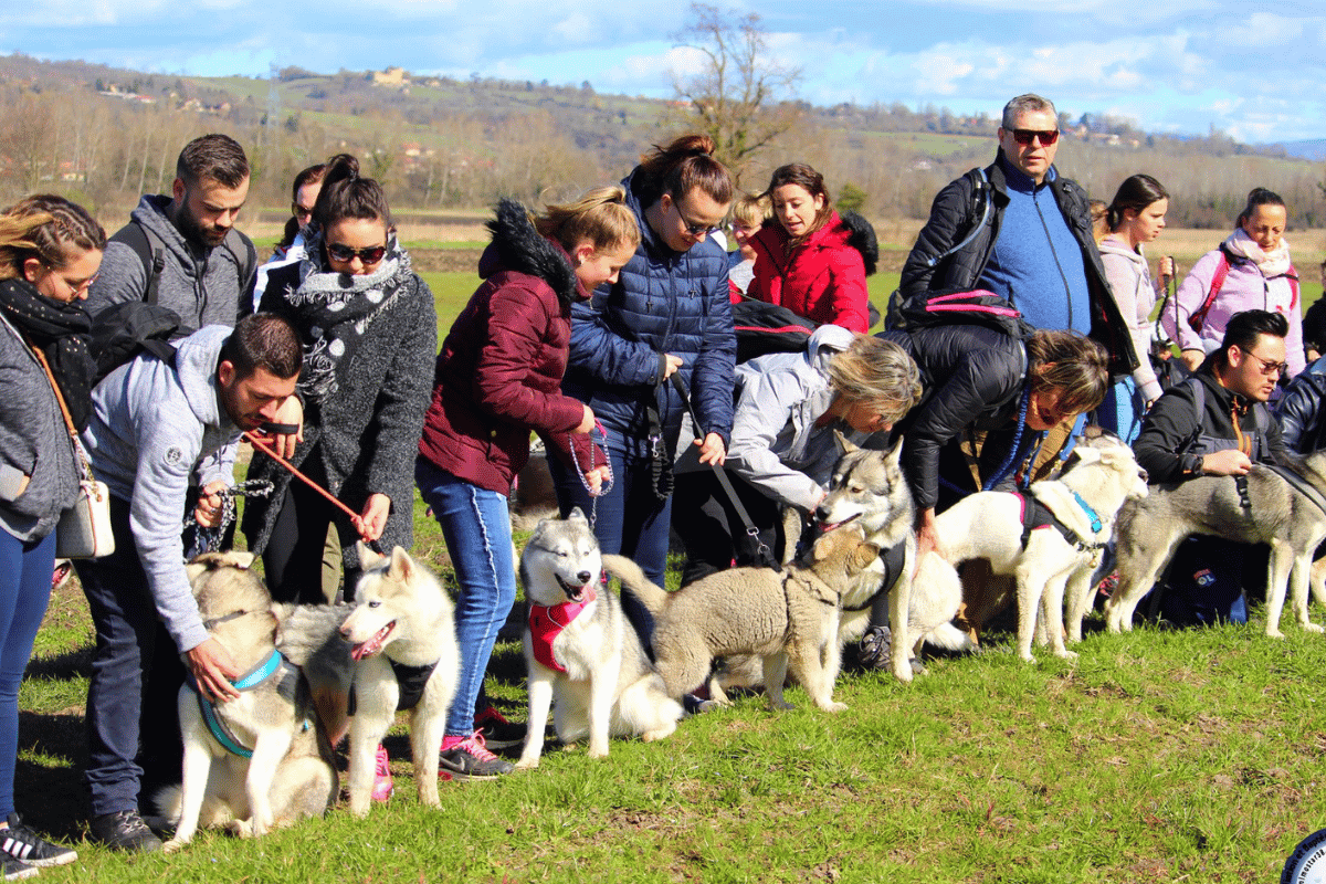 Rassemblement de stagiaires en formation canine Des Flocons Sibériens, Aoste